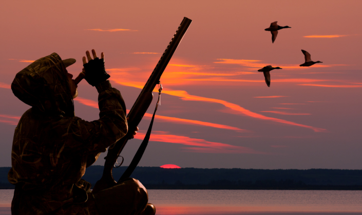 The,Hunter,Lures,Waterfowl,Using,Duck,Call,At,Sunset
