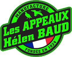 Helen Baud