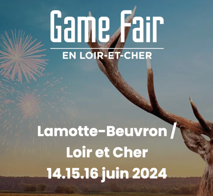 game fair une
